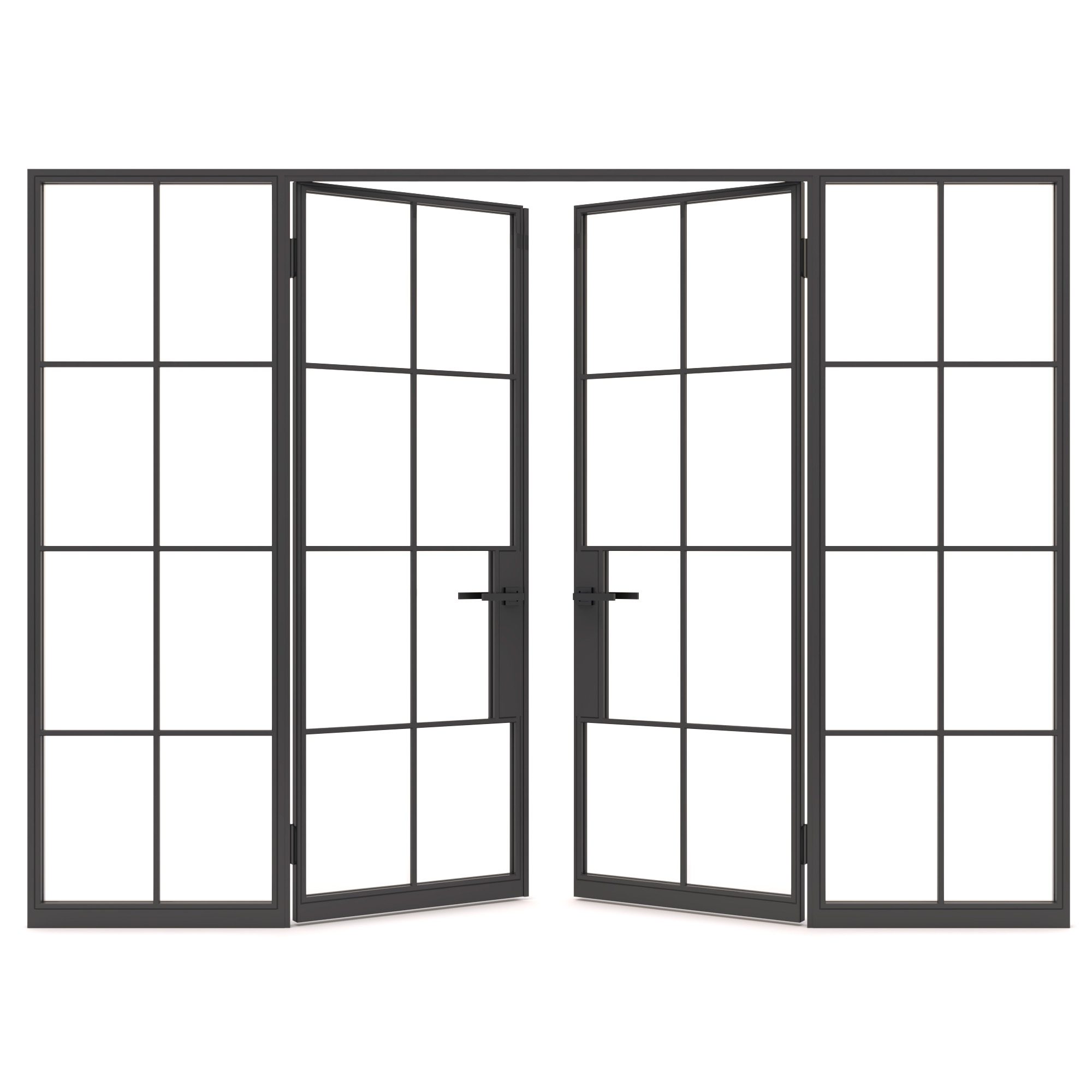 Black framed steel French doors with multiple glass panes.